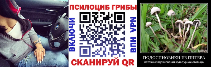 Галлюциногенные грибы Cubensis  Оха 